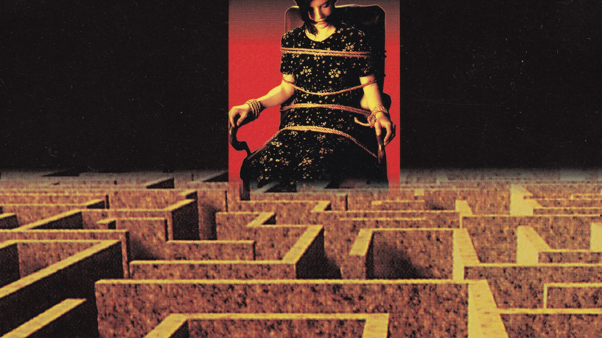 Backdrop for The Maze