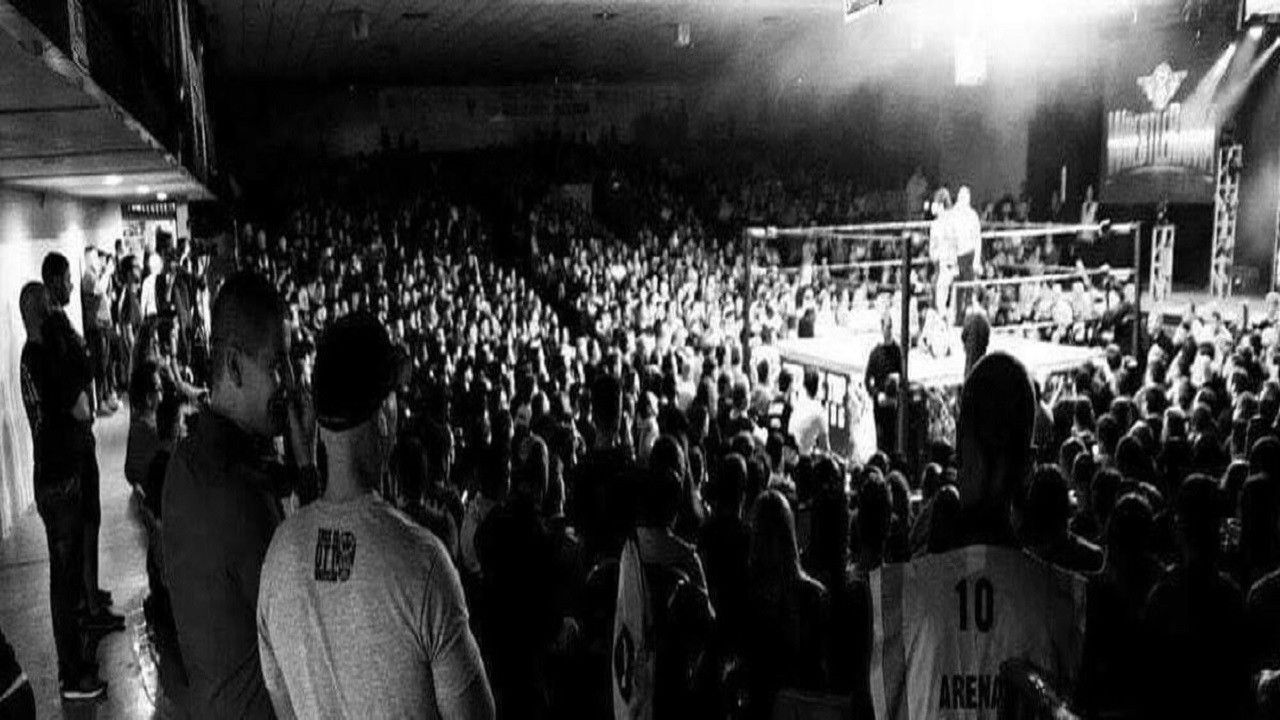 Backdrop for OTT: A Haven For Monsters