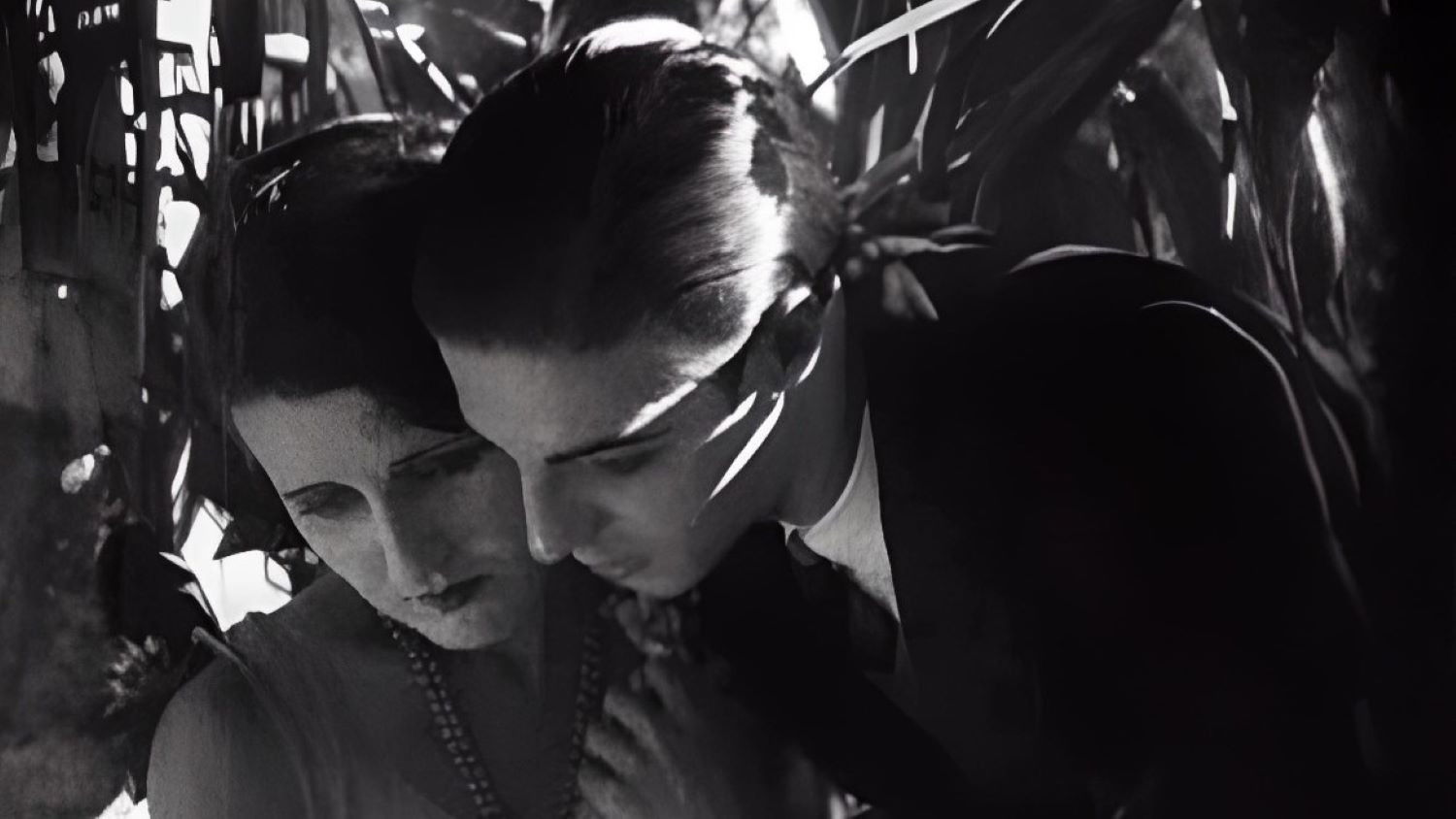 Backdrop for Dormant Embers