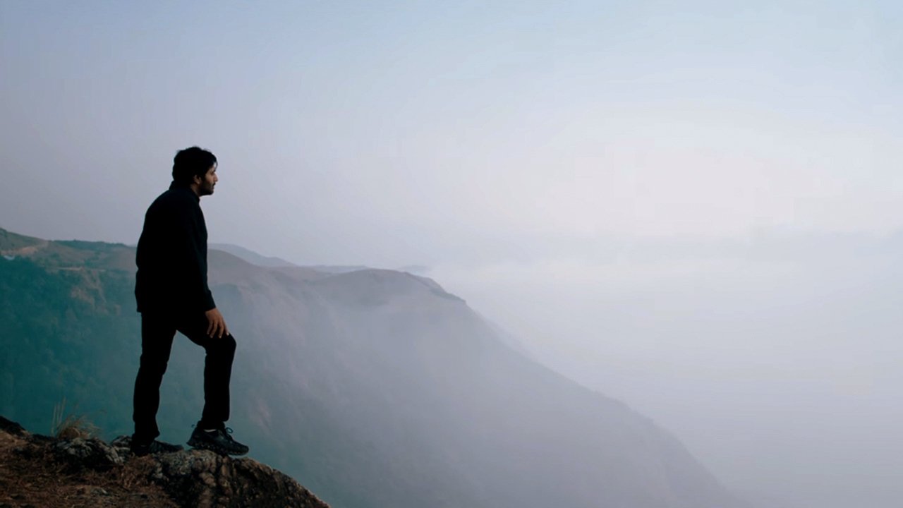 Backdrop for Lavender