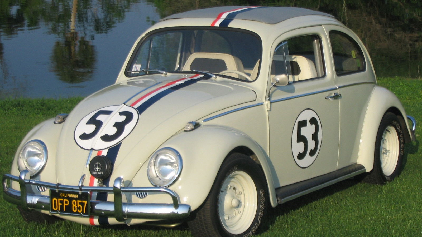 Backdrop for Herbie, the Love Bug