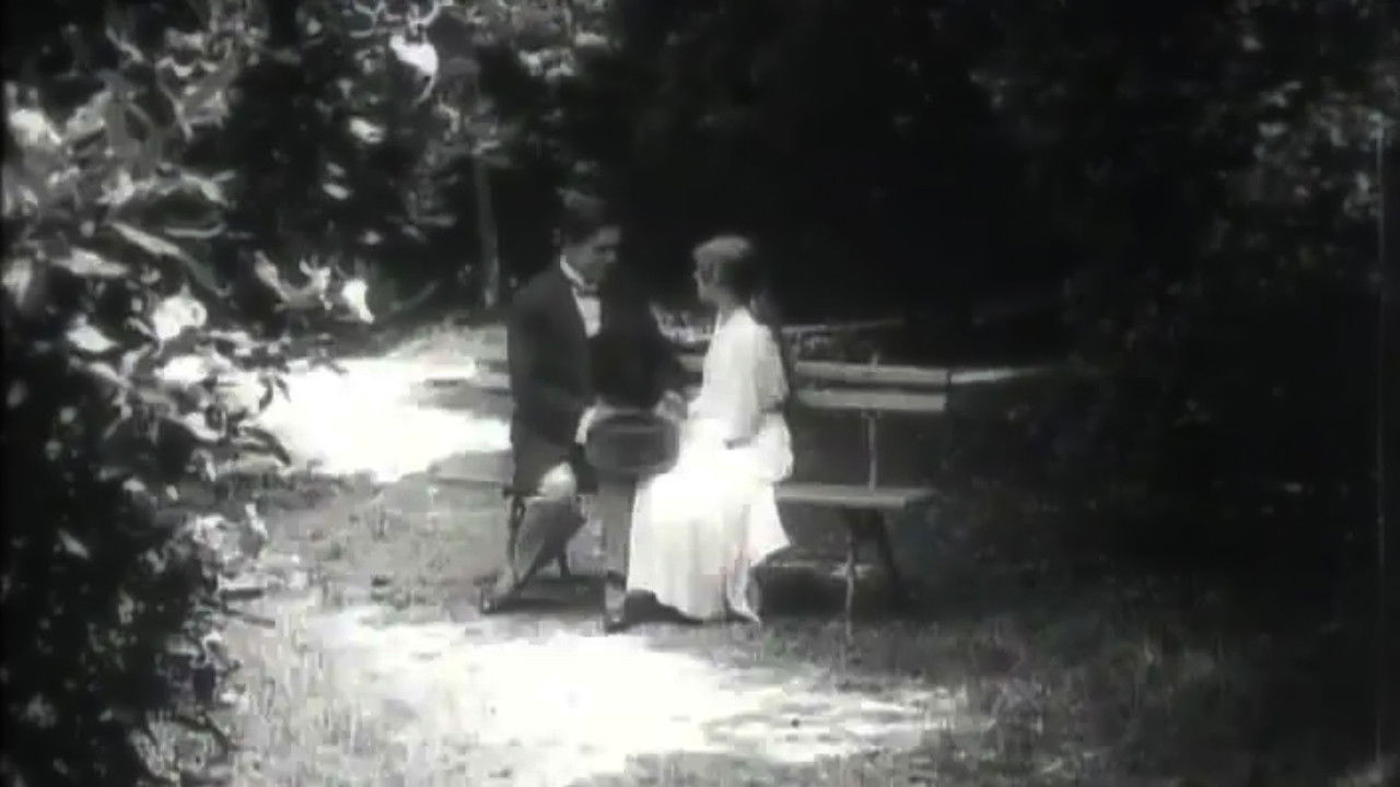 Backdrop for For Happiness