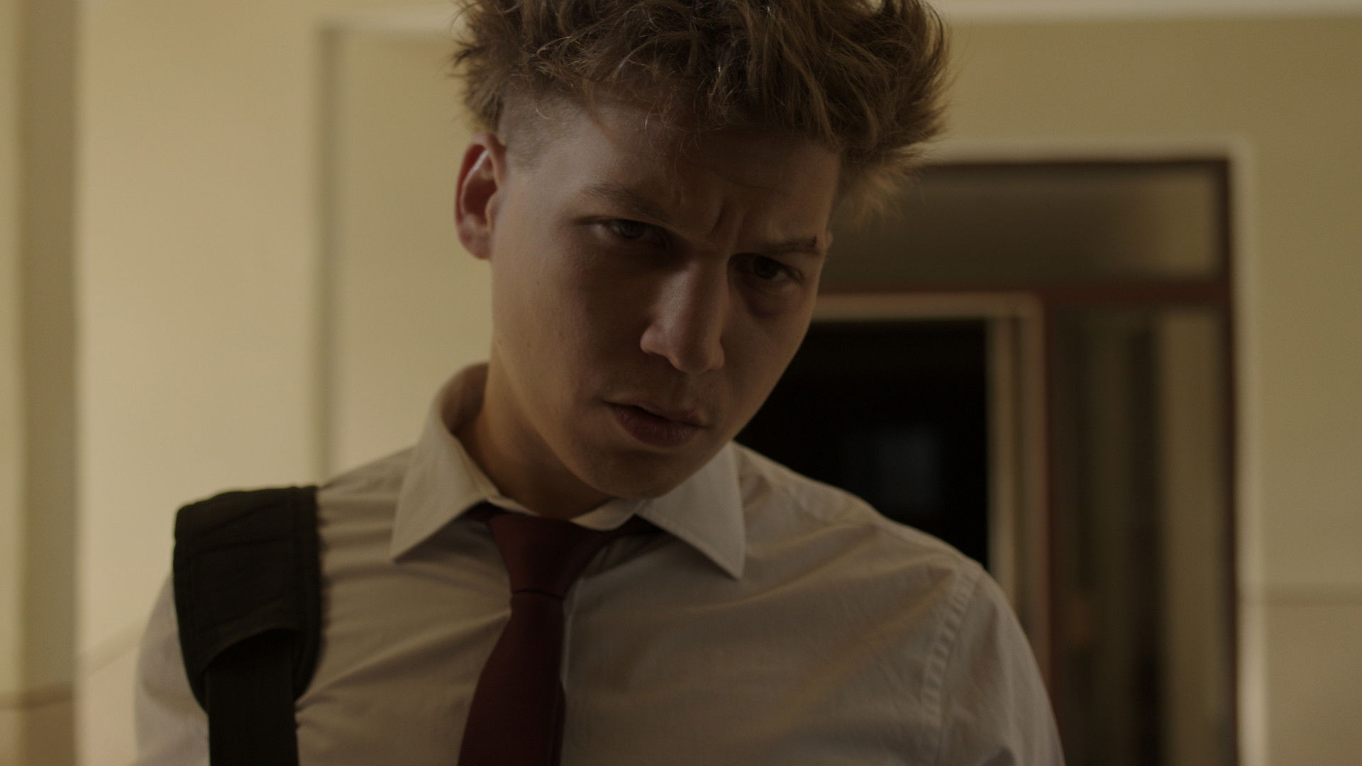 Backdrop for Alma Mater