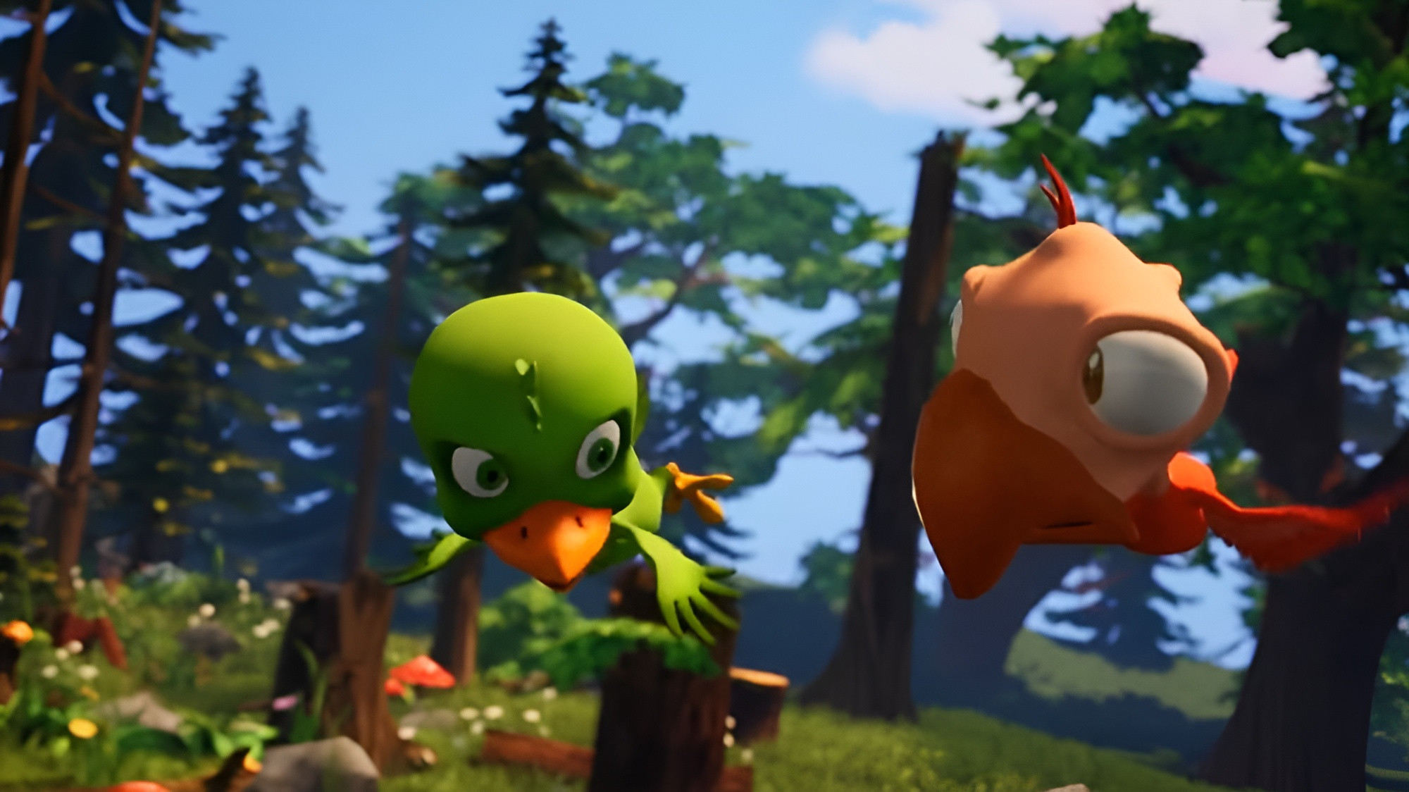 Backdrop for Feather Friends