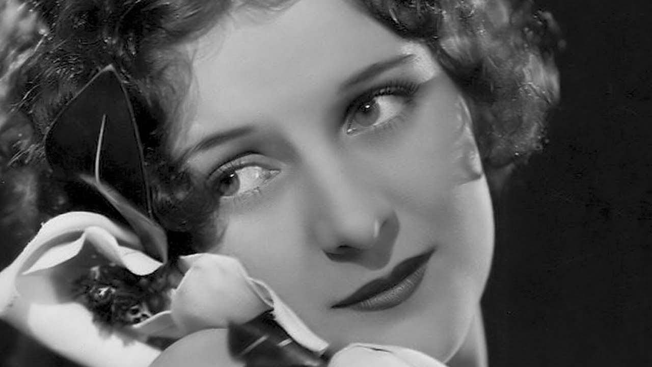 Backdrop for Paradise Island