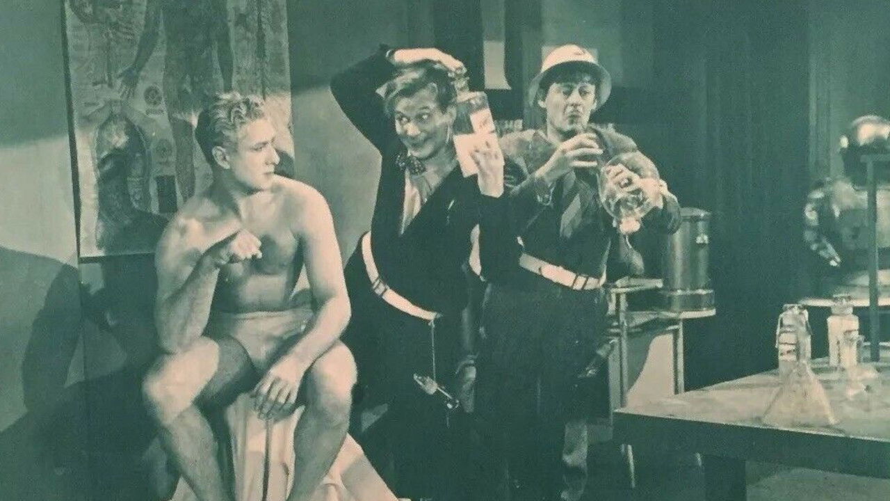 Backdrop for Boobs in the Night