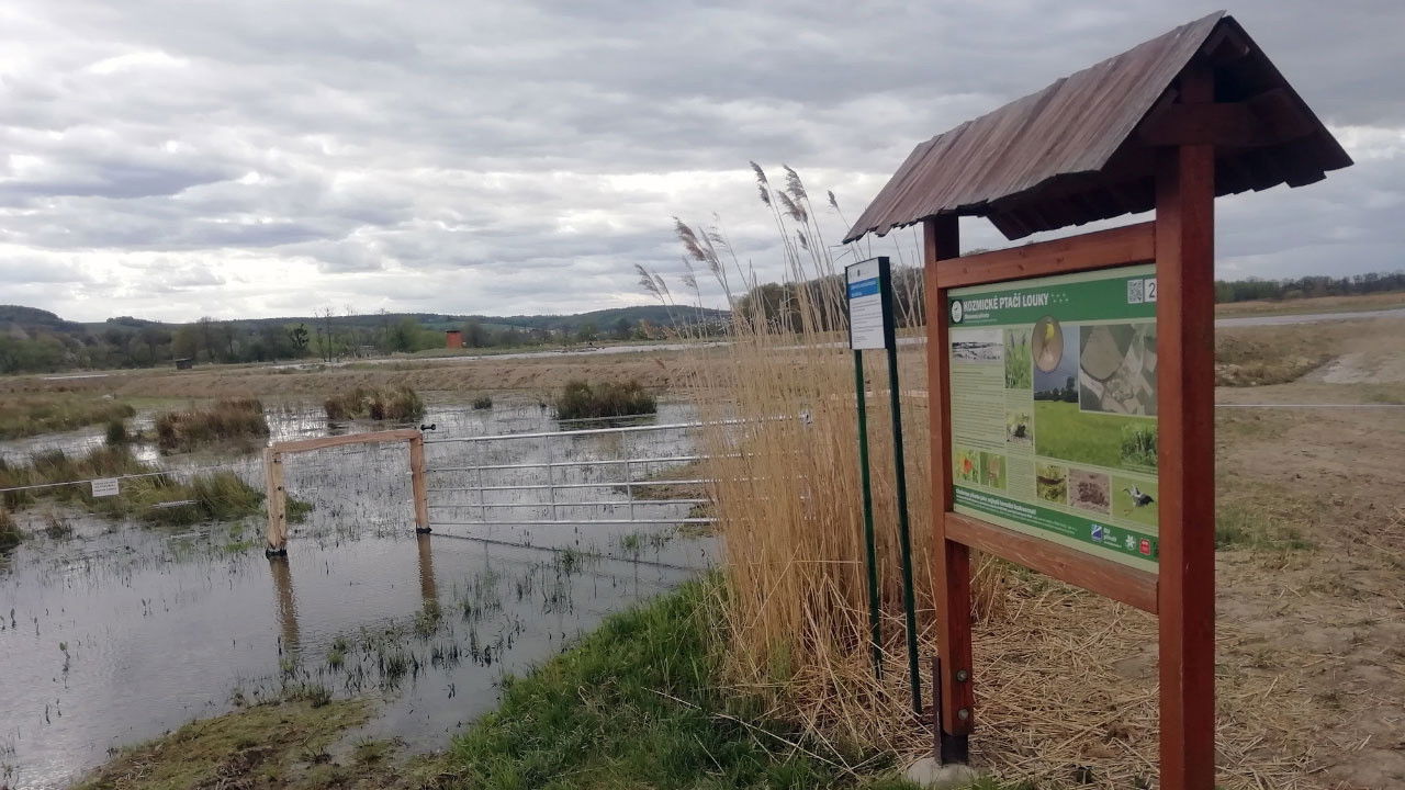 Backdrop for Česko řeší klima