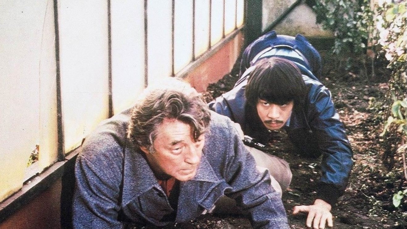 Backdrop for The Amsterdam Kill