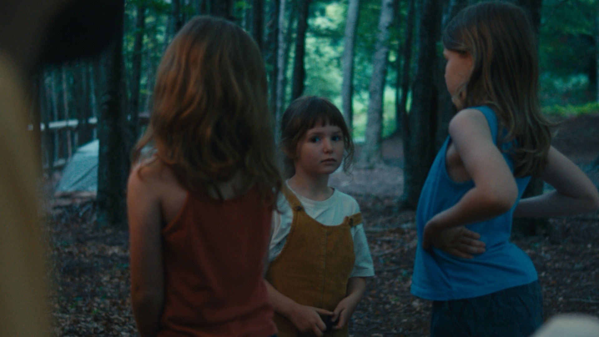 Backdrop for Dissection of An Incoherence in Crisis