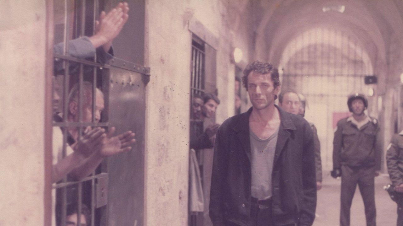 Backdrop for Beyond the Walls