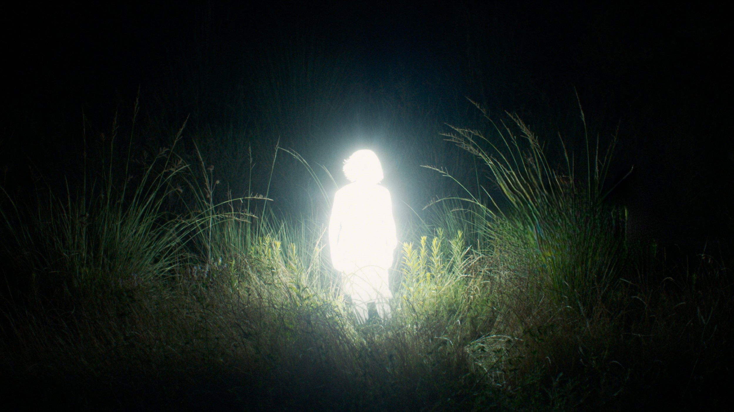 Backdrop for Chronicles of a Wandering Saint