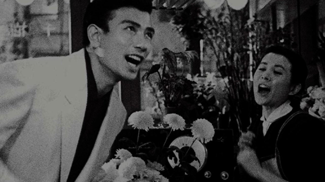 Backdrop for Beautiful Days