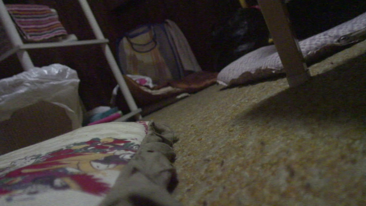 Backdrop for Sealed Video 33: Cursed Underground Idol