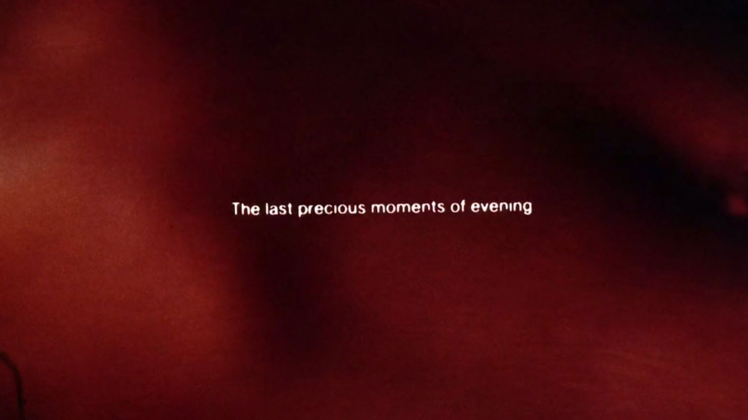 Backdrop for Illuminated Texts