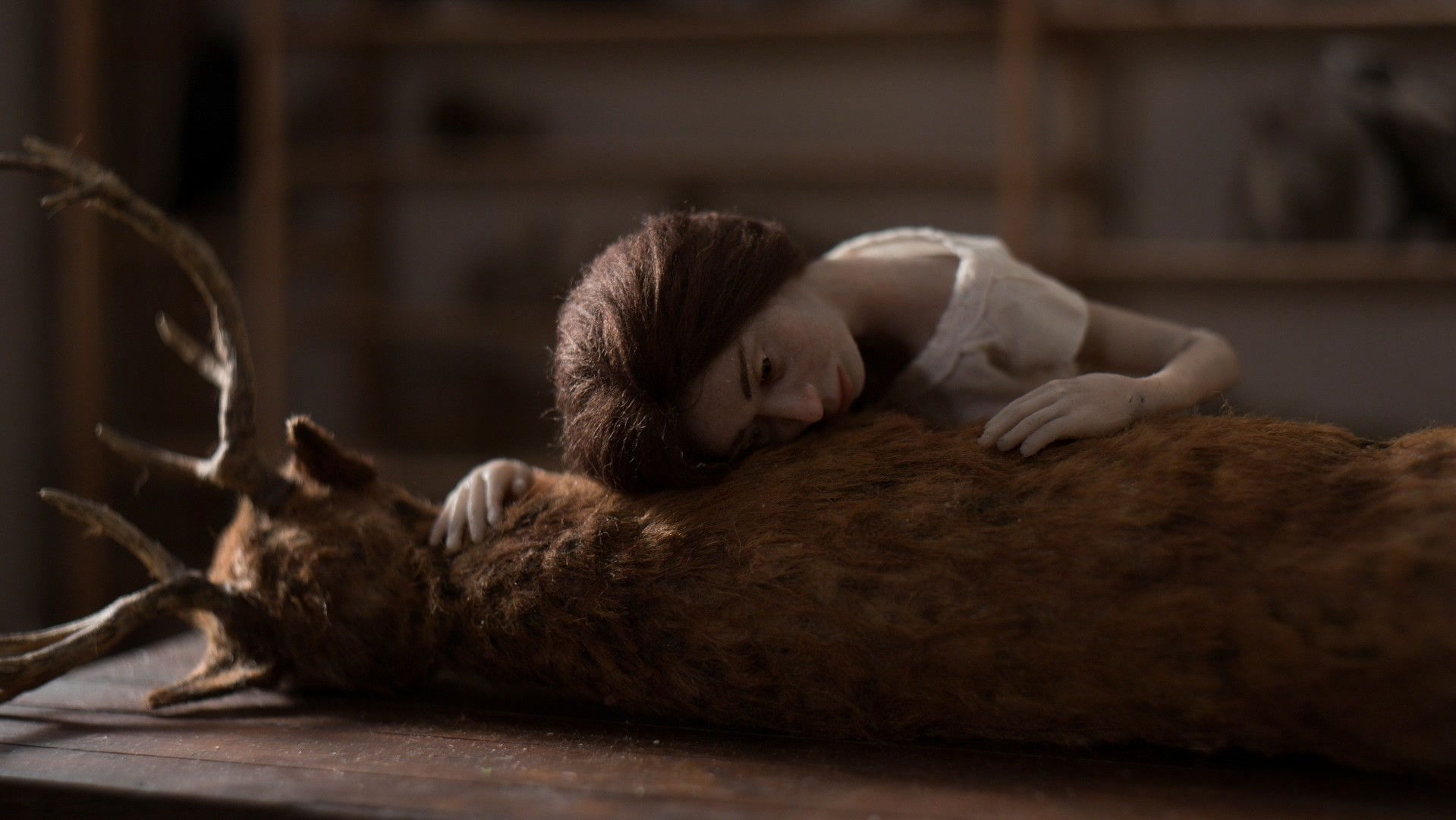 Backdrop for Imbued Life