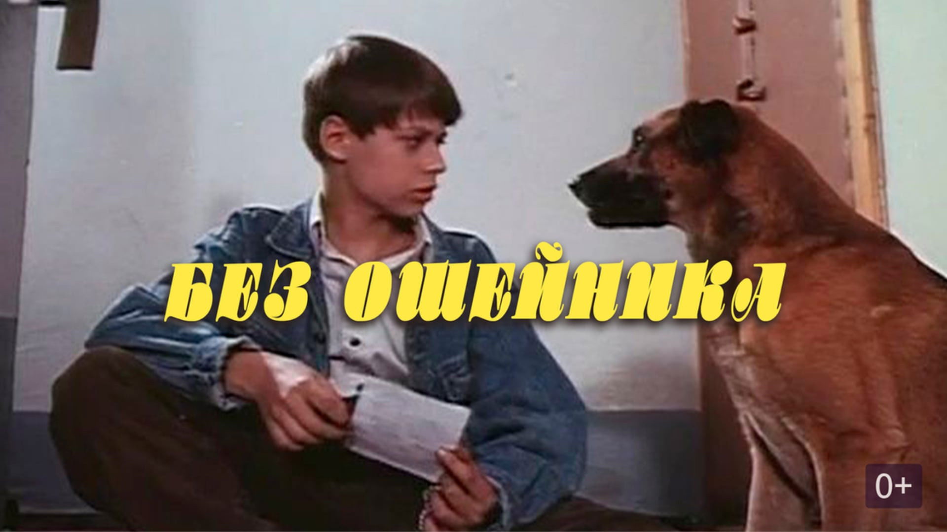 Backdrop for Without a Collar