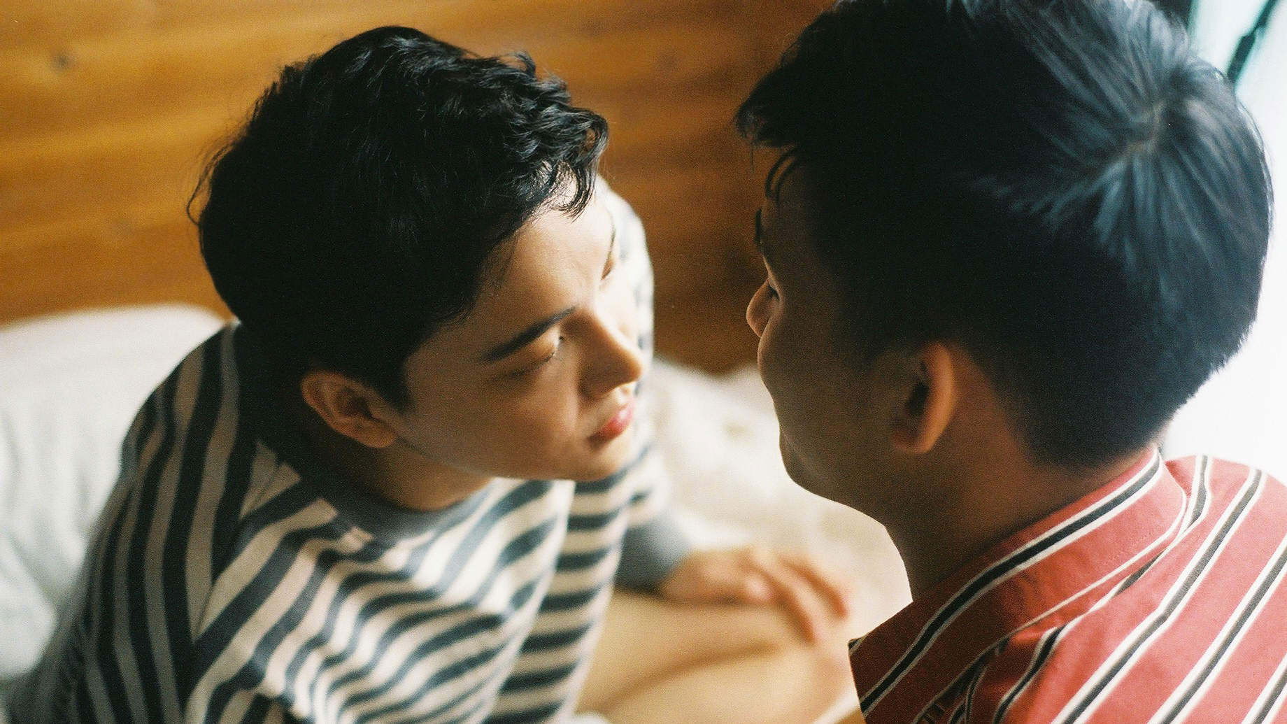 Backdrop for Summerdaze