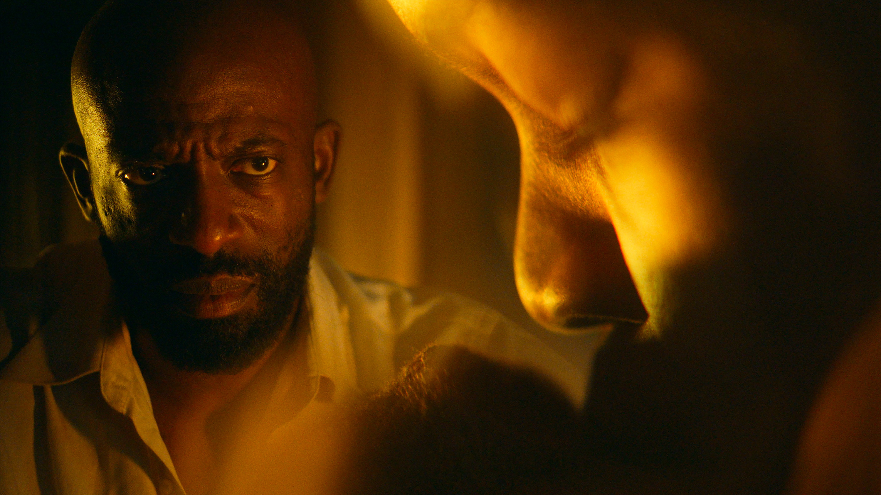 Backdrop for Cabbage