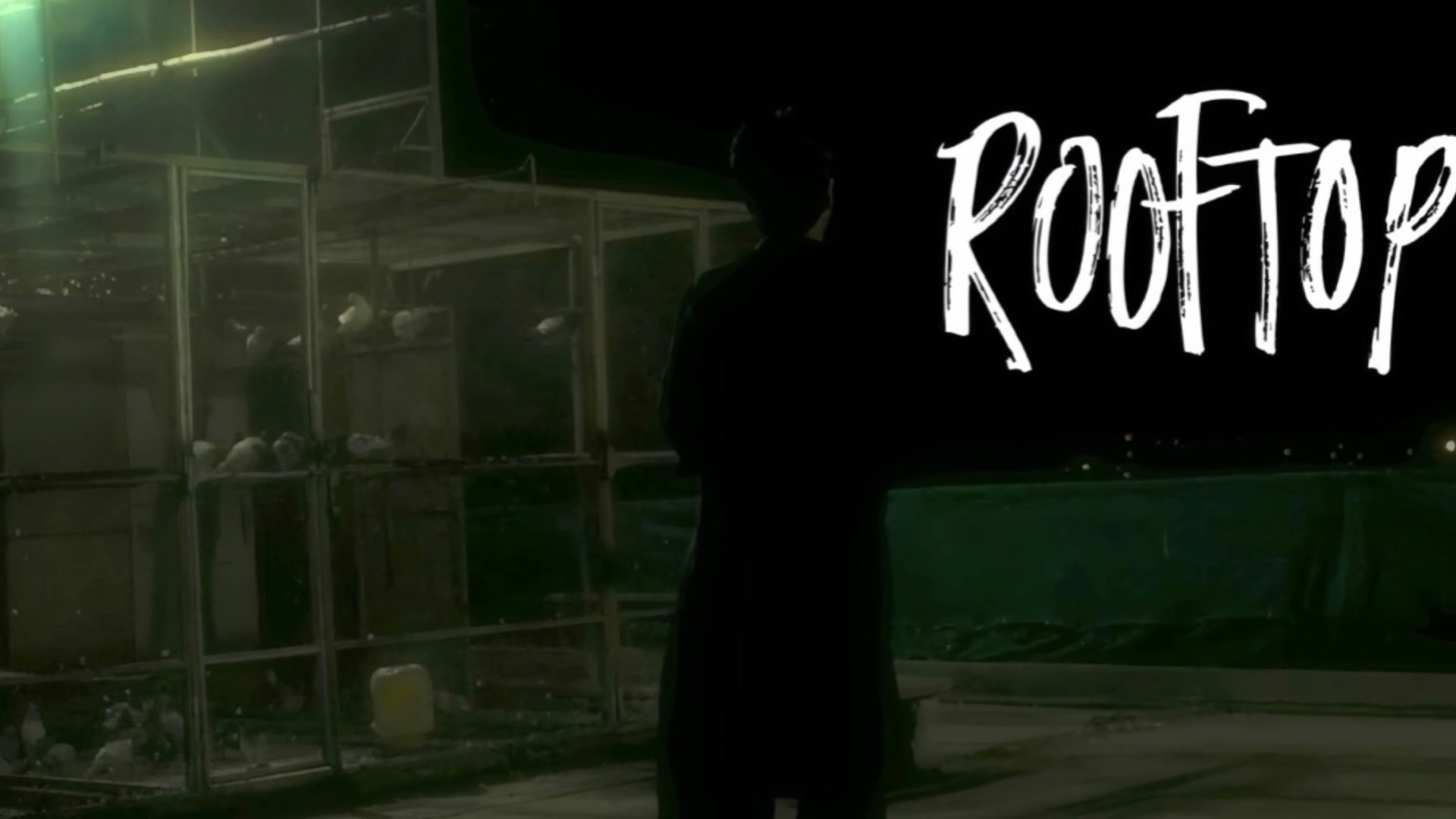 Backdrop for A ROOFTOP