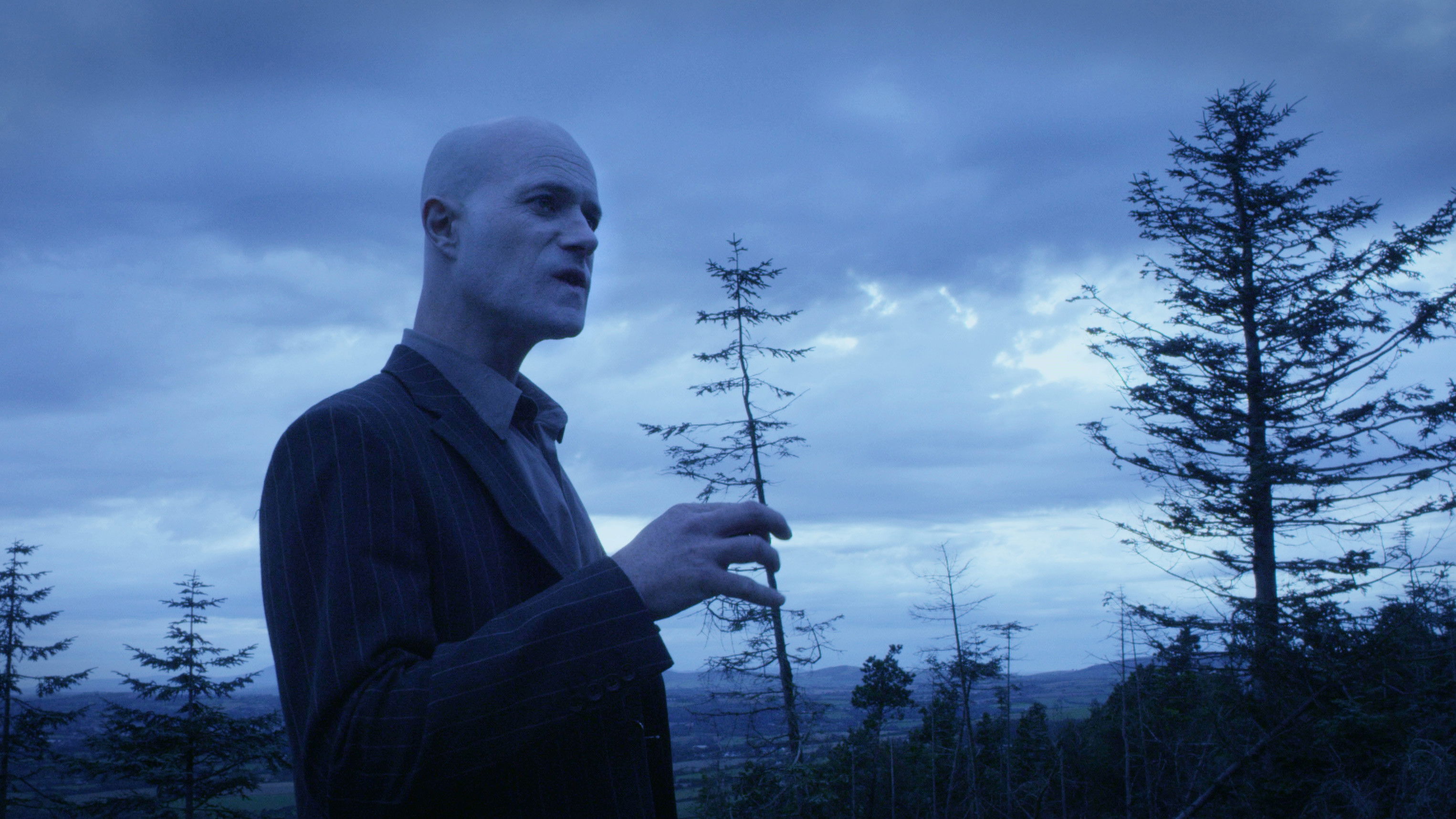 Backdrop for Animal Kingdom