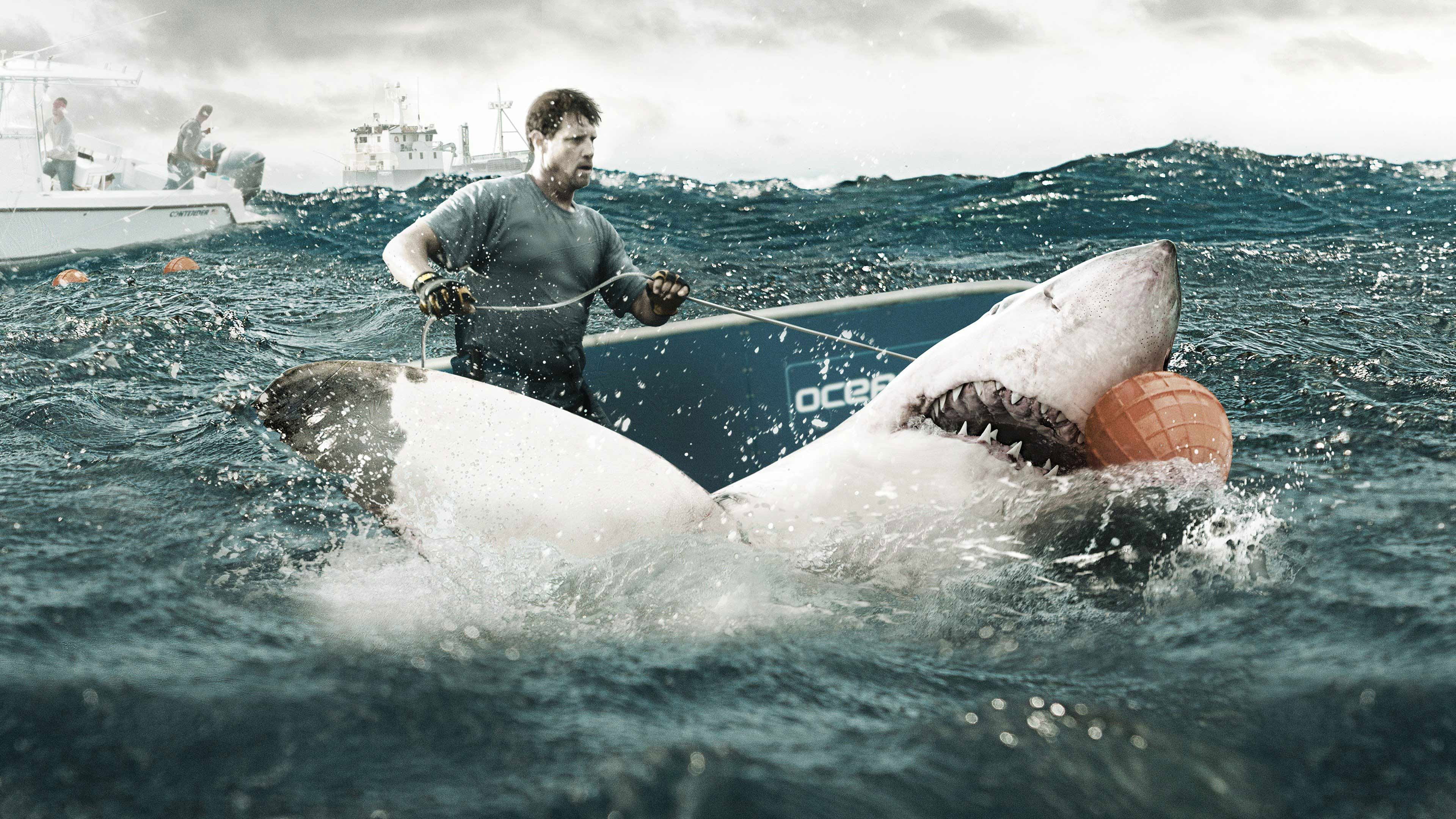 Backdrop for Shark Wranglers