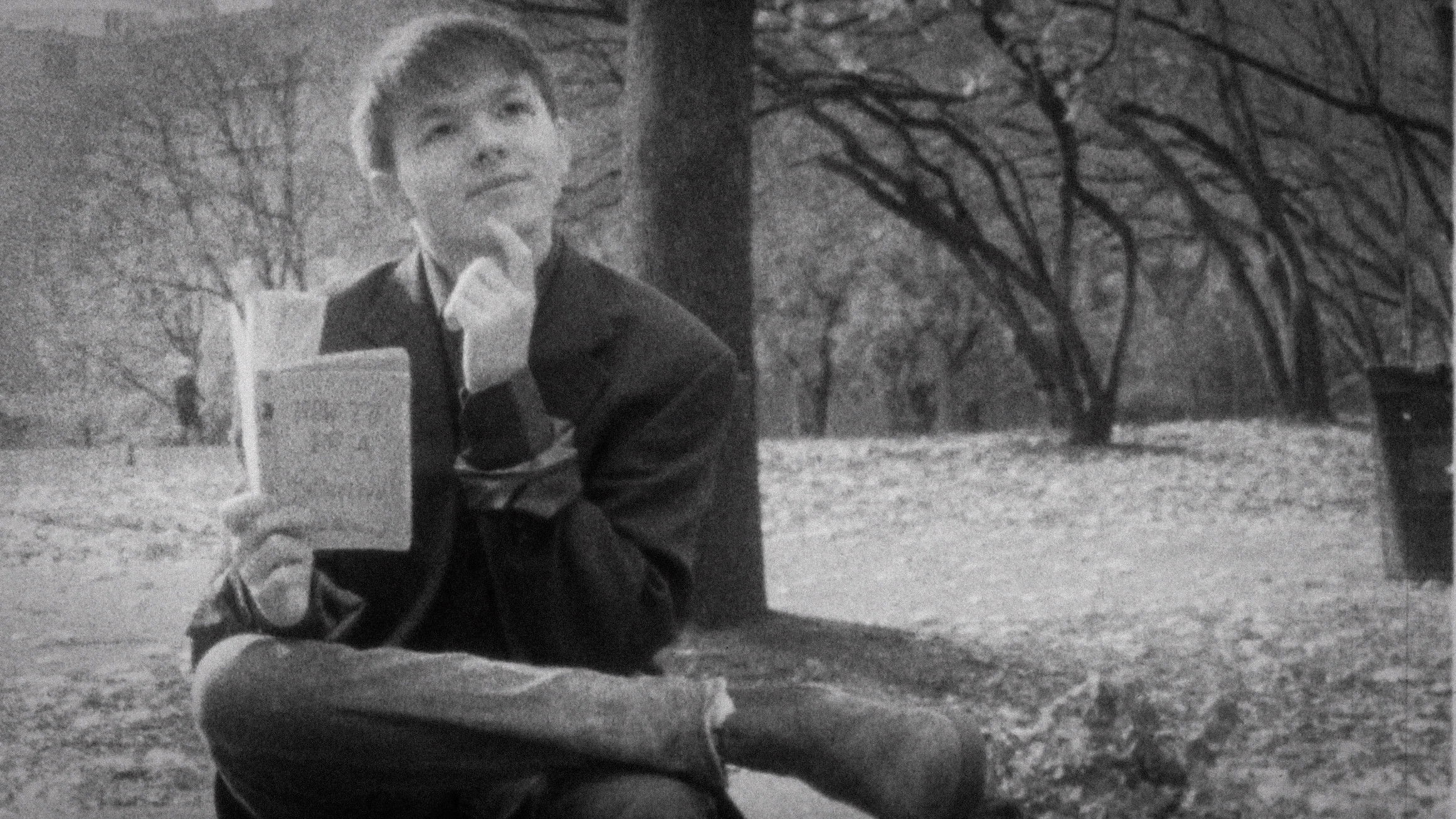 Backdrop for Whodidit?