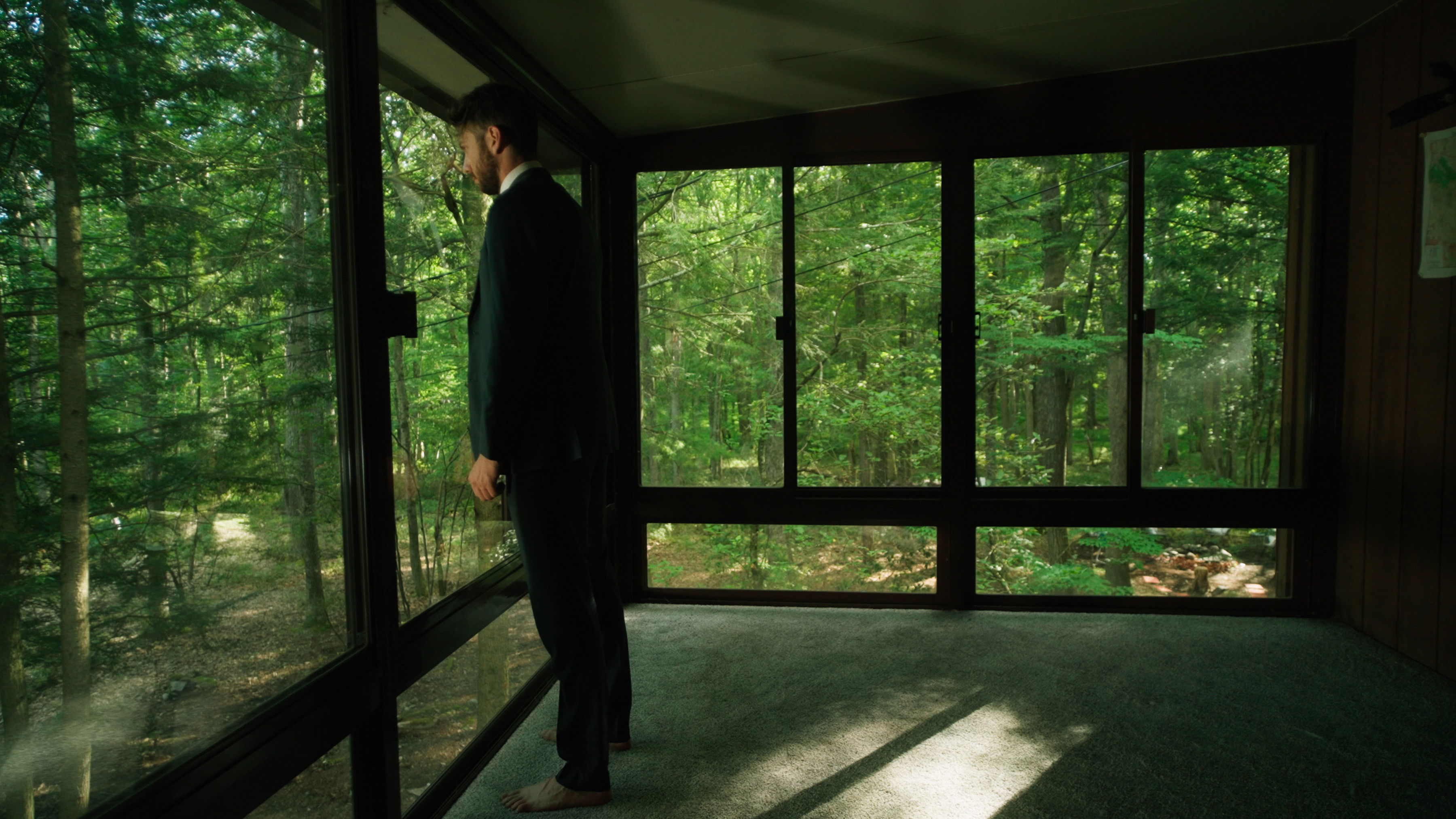 Backdrop for I've Never Been Downstairs