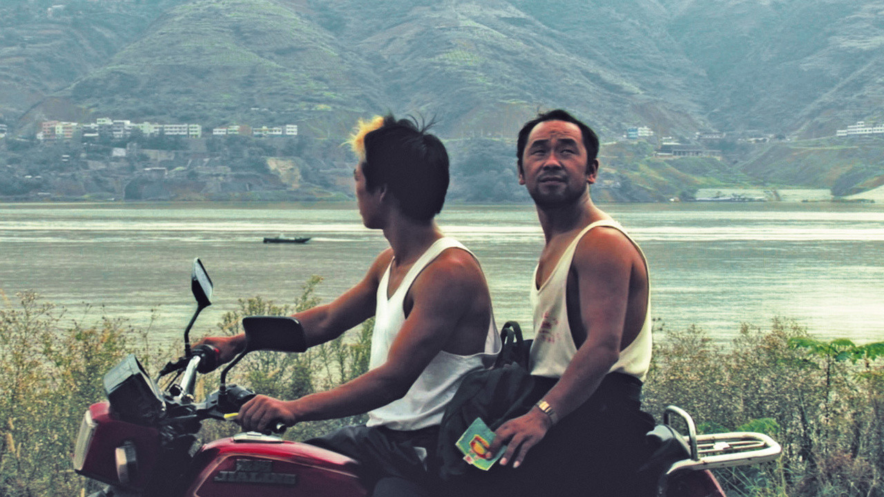 Backdrop for Still Life