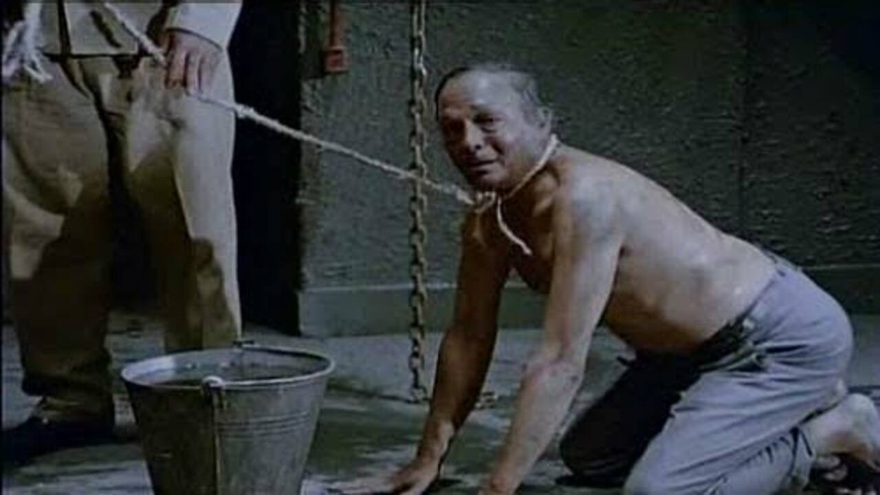 Backdrop for We Are the Bus People