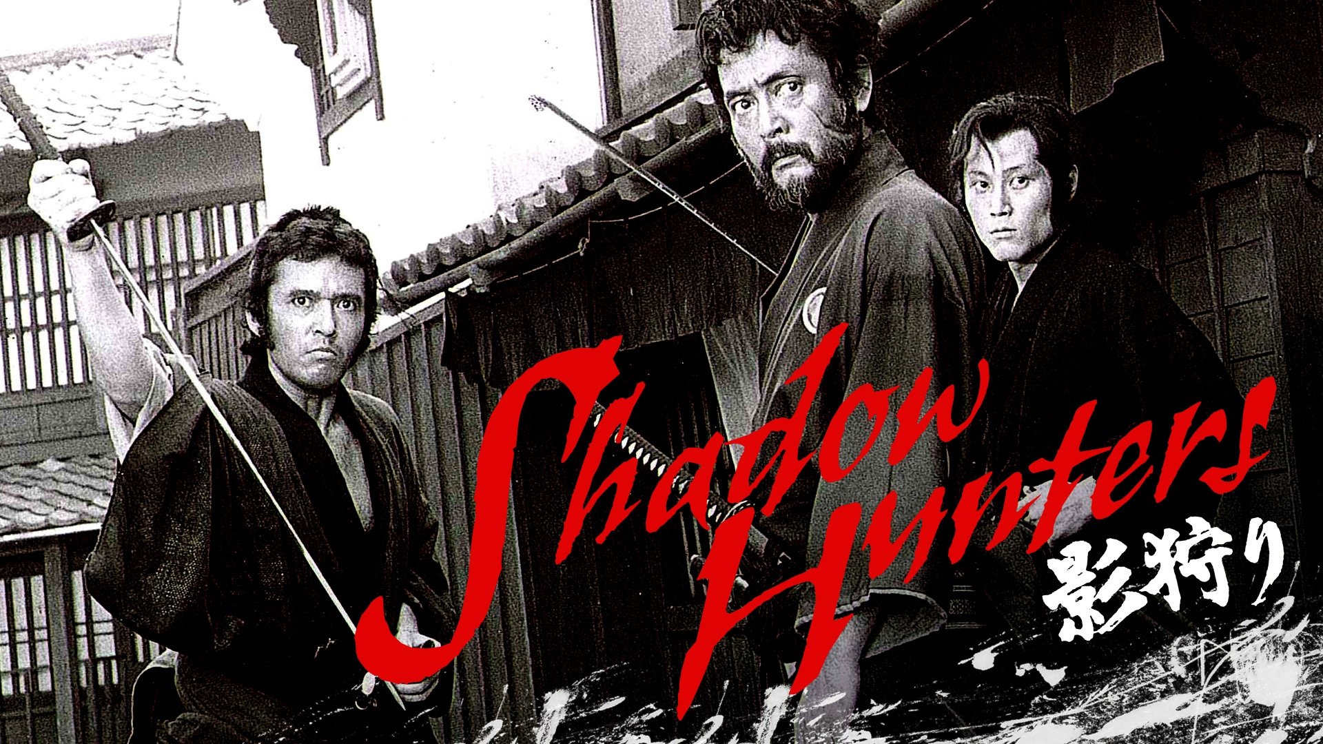 Backdrop for Shadow Hunters