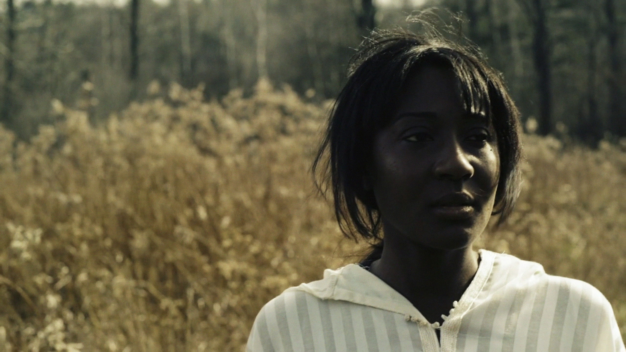 Backdrop for Cody ChesnuTT - Till I Met Thee