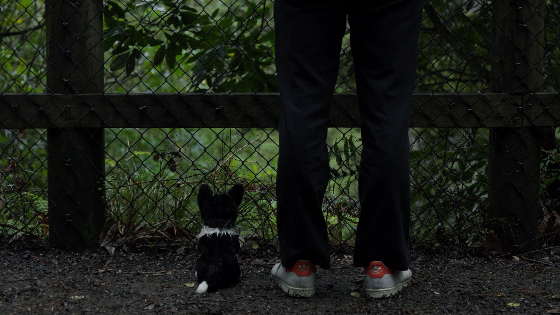 Backdrop for Forget Me Not