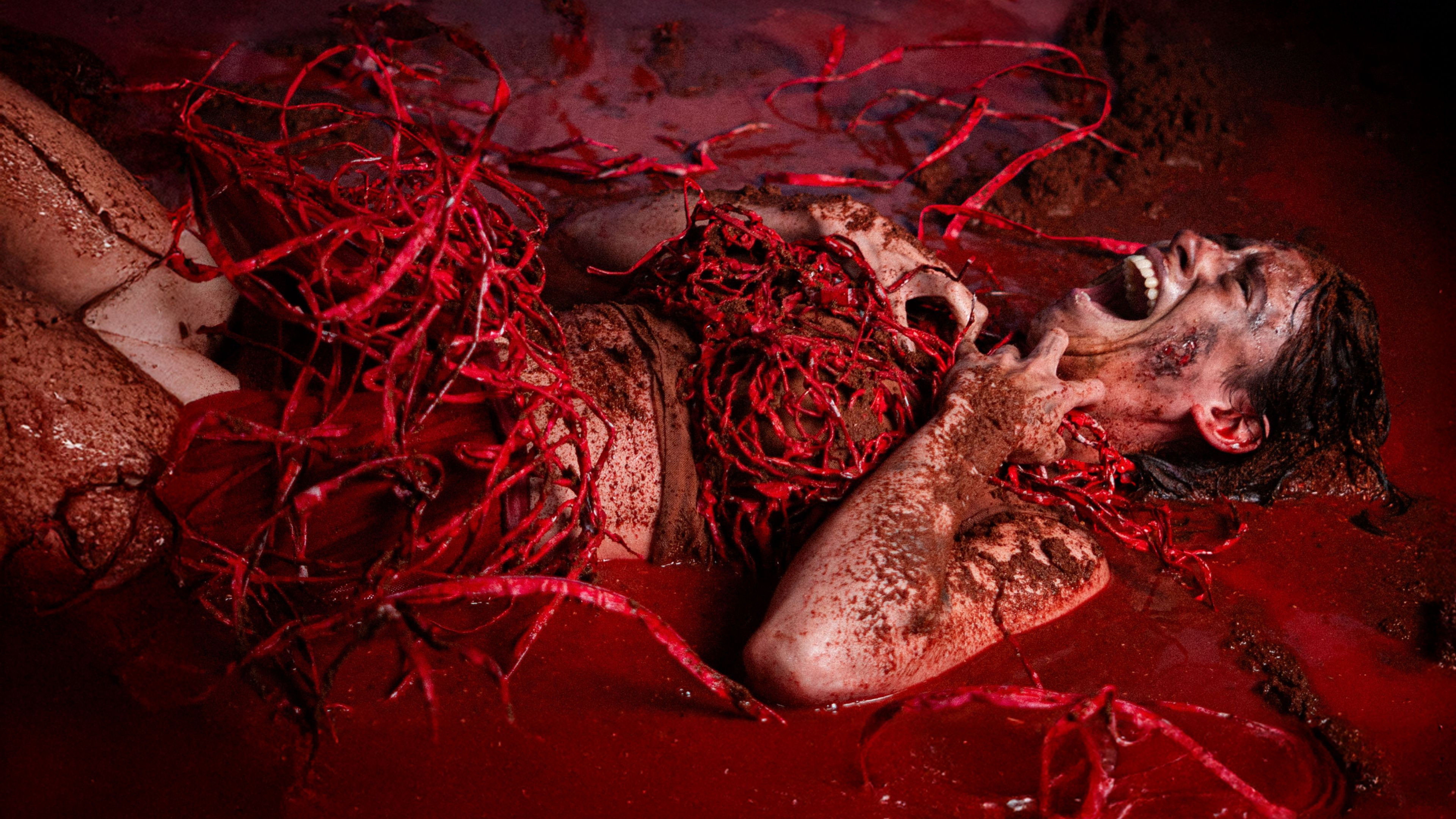 Backdrop for El Cuerpo de Lili