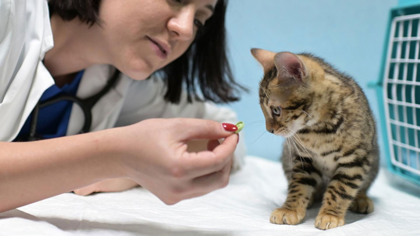 Backdrop for That's Amore