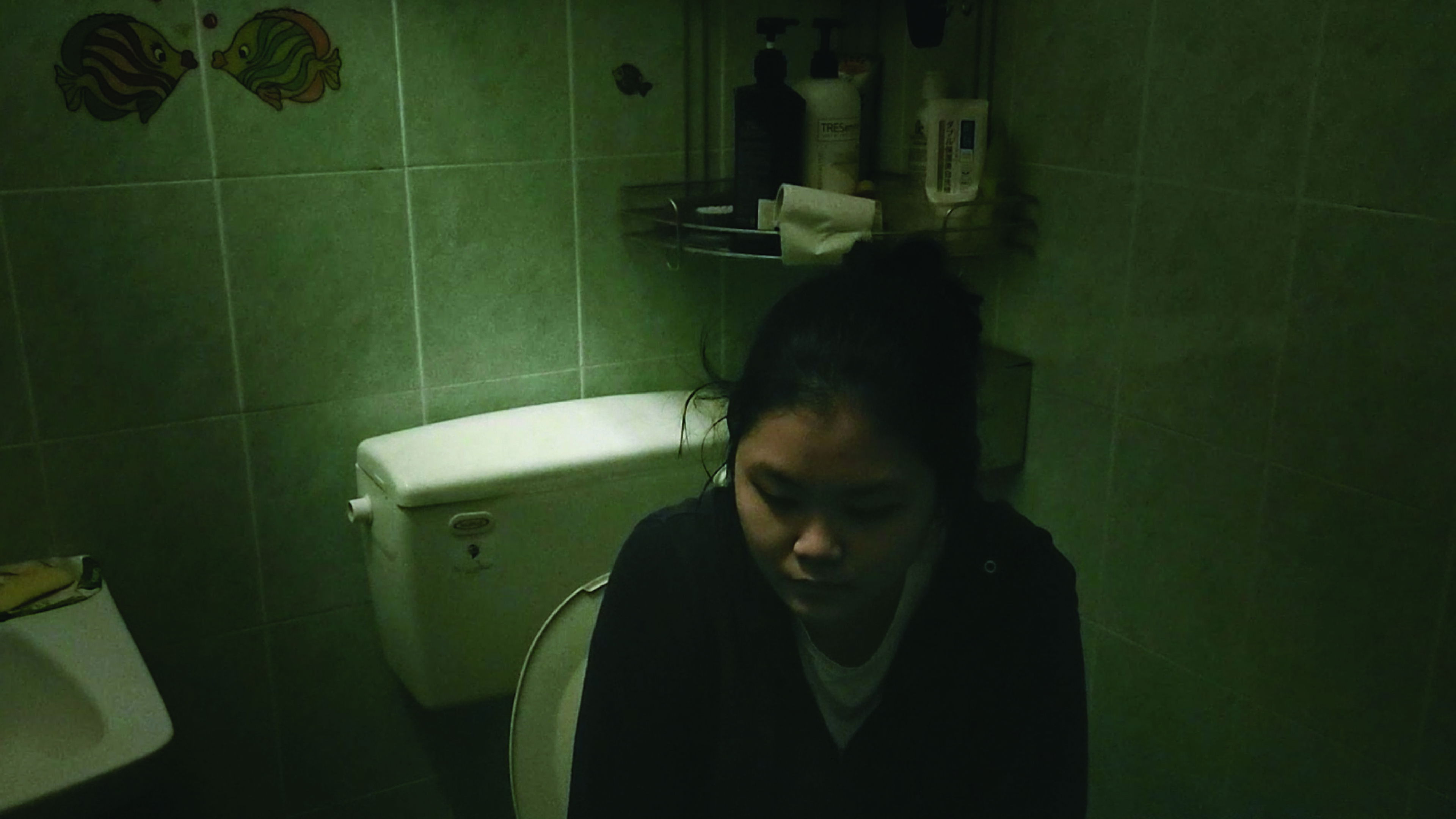 Backdrop for The 46th Moon