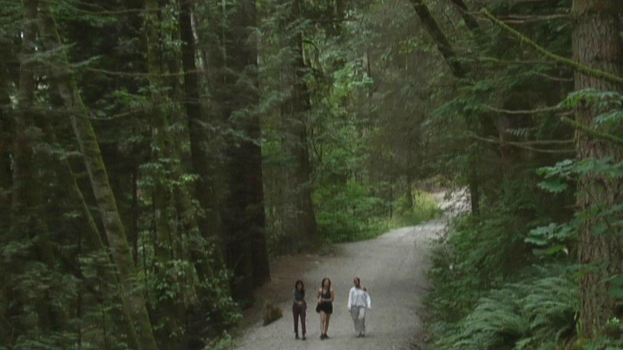 Backdrop for You Hide in Hope