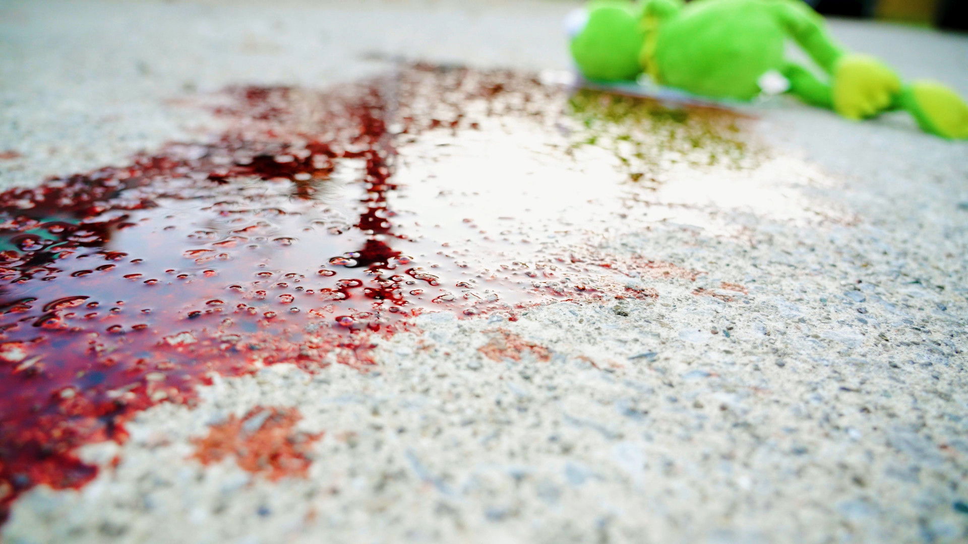 Backdrop for What's On the Other Side