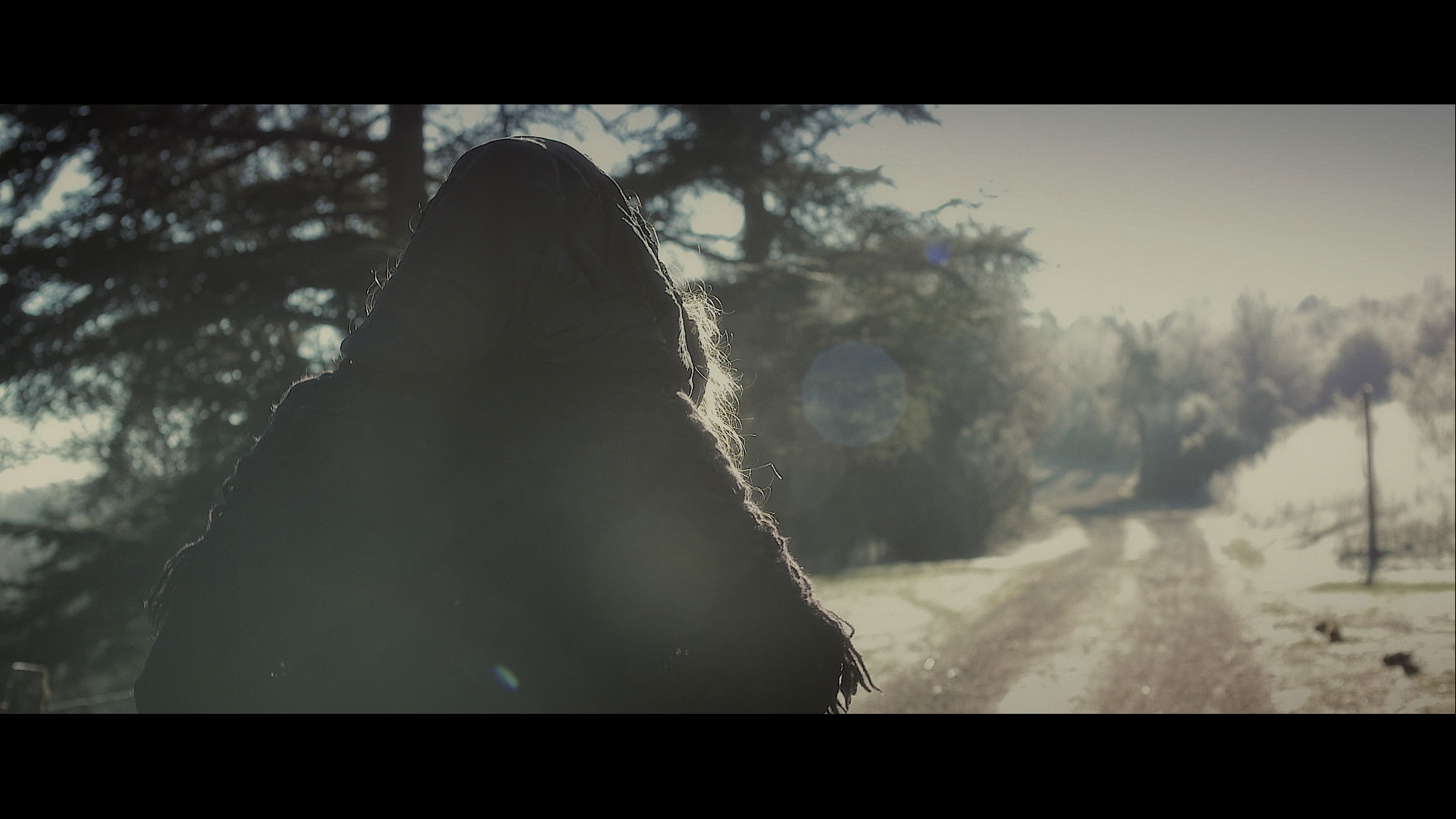 Backdrop for The Portrait