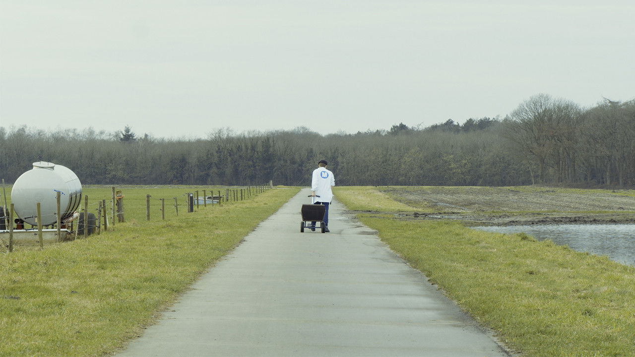 Backdrop for Milkman