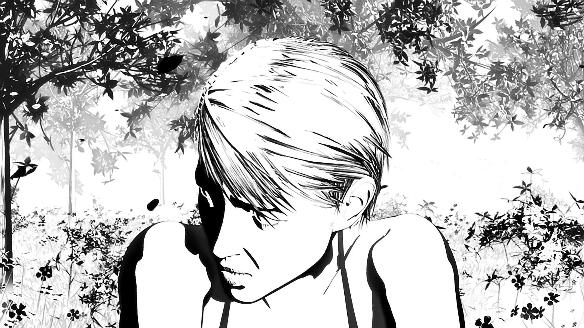 Backdrop for Renaissance