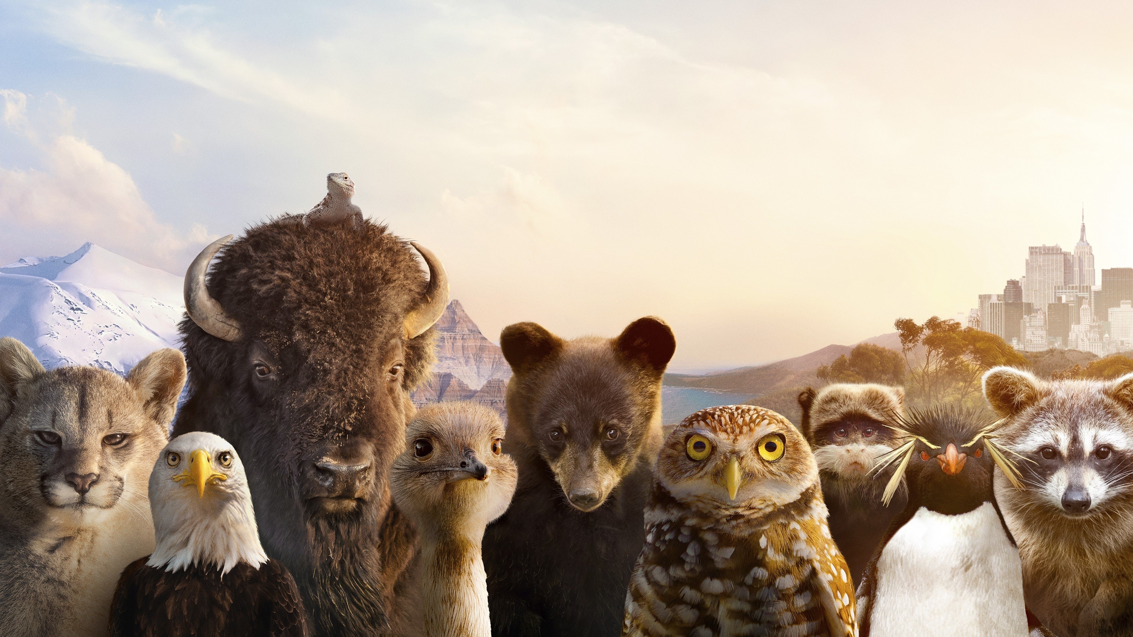 Backdrop for The Americas