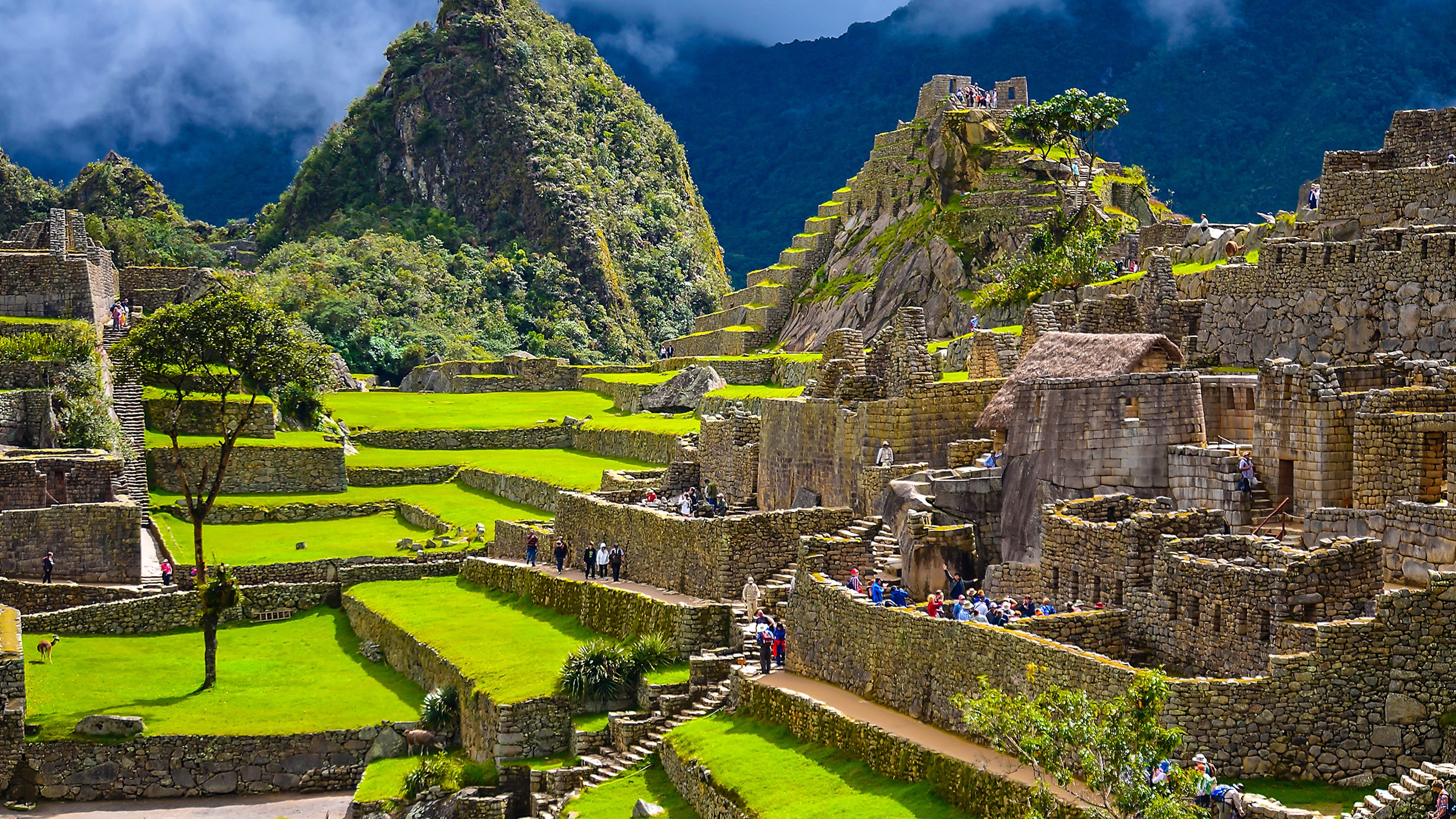 Backdrop for The Lost City Of Machu Picchu