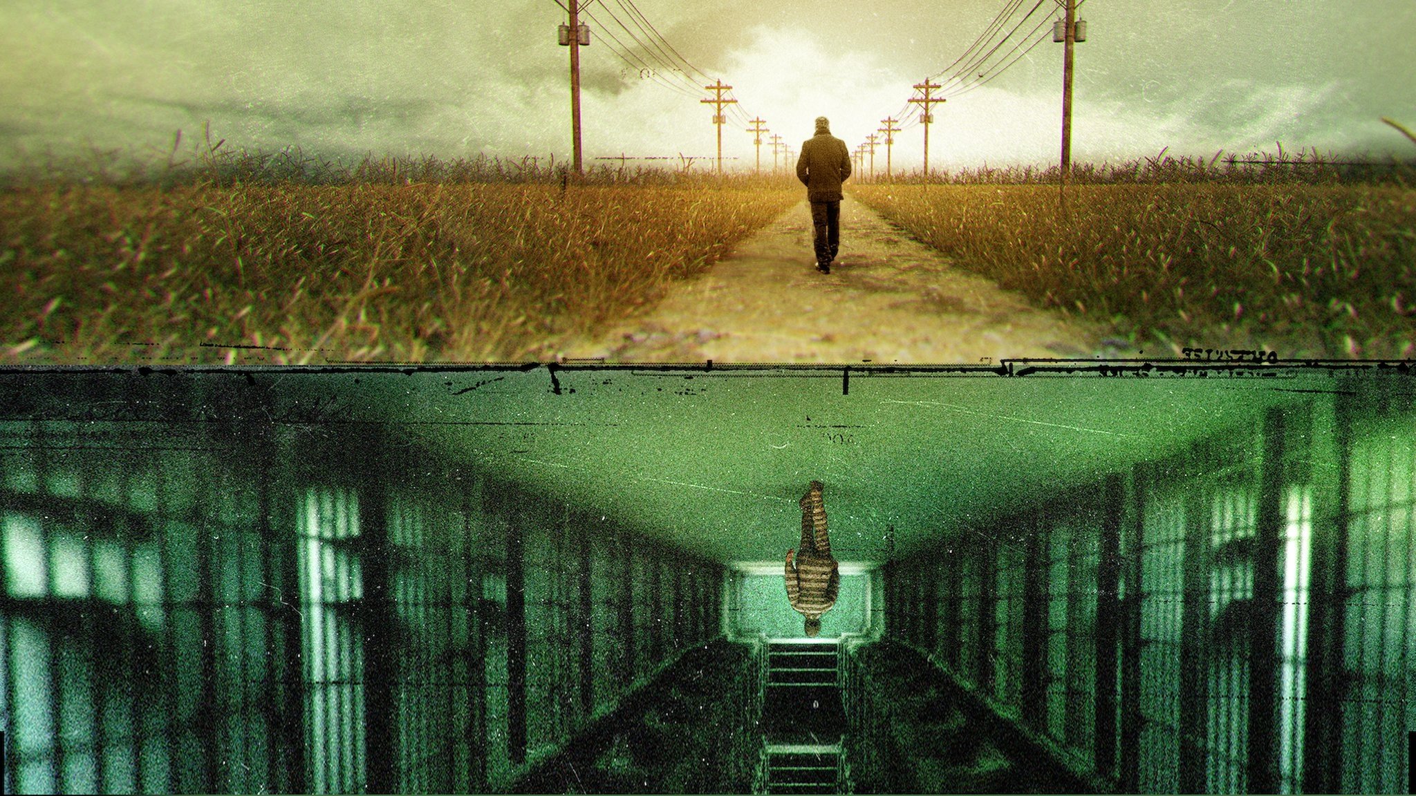 Backdrop for The Innocence Files