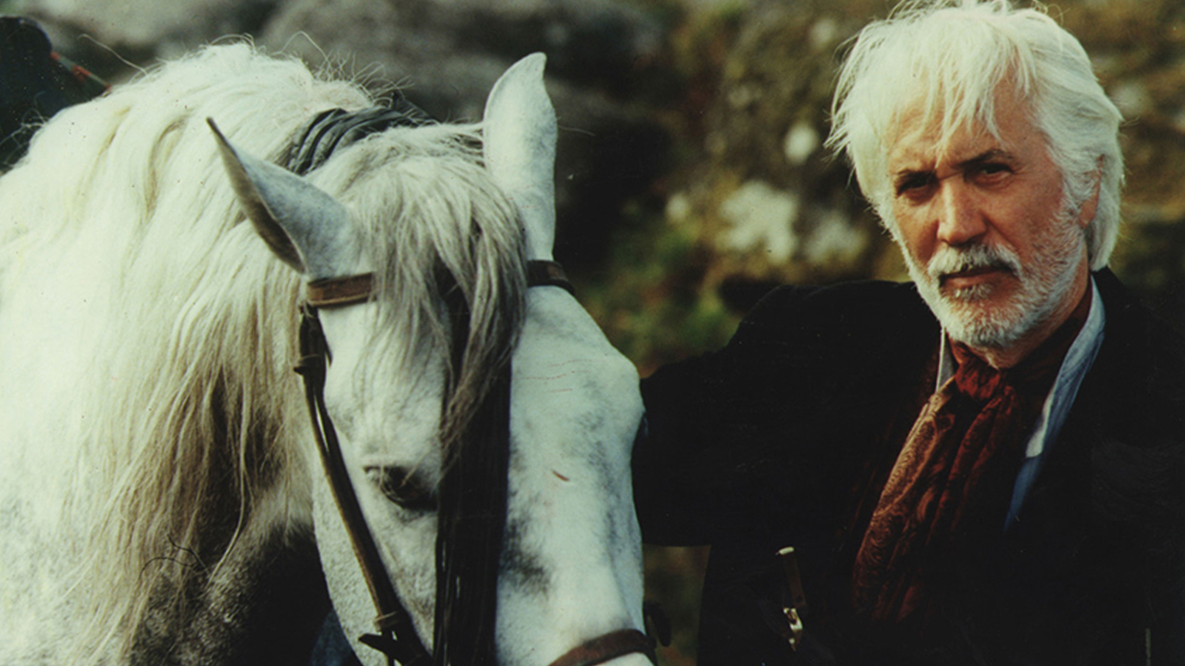 Backdrop for The Frontier Law