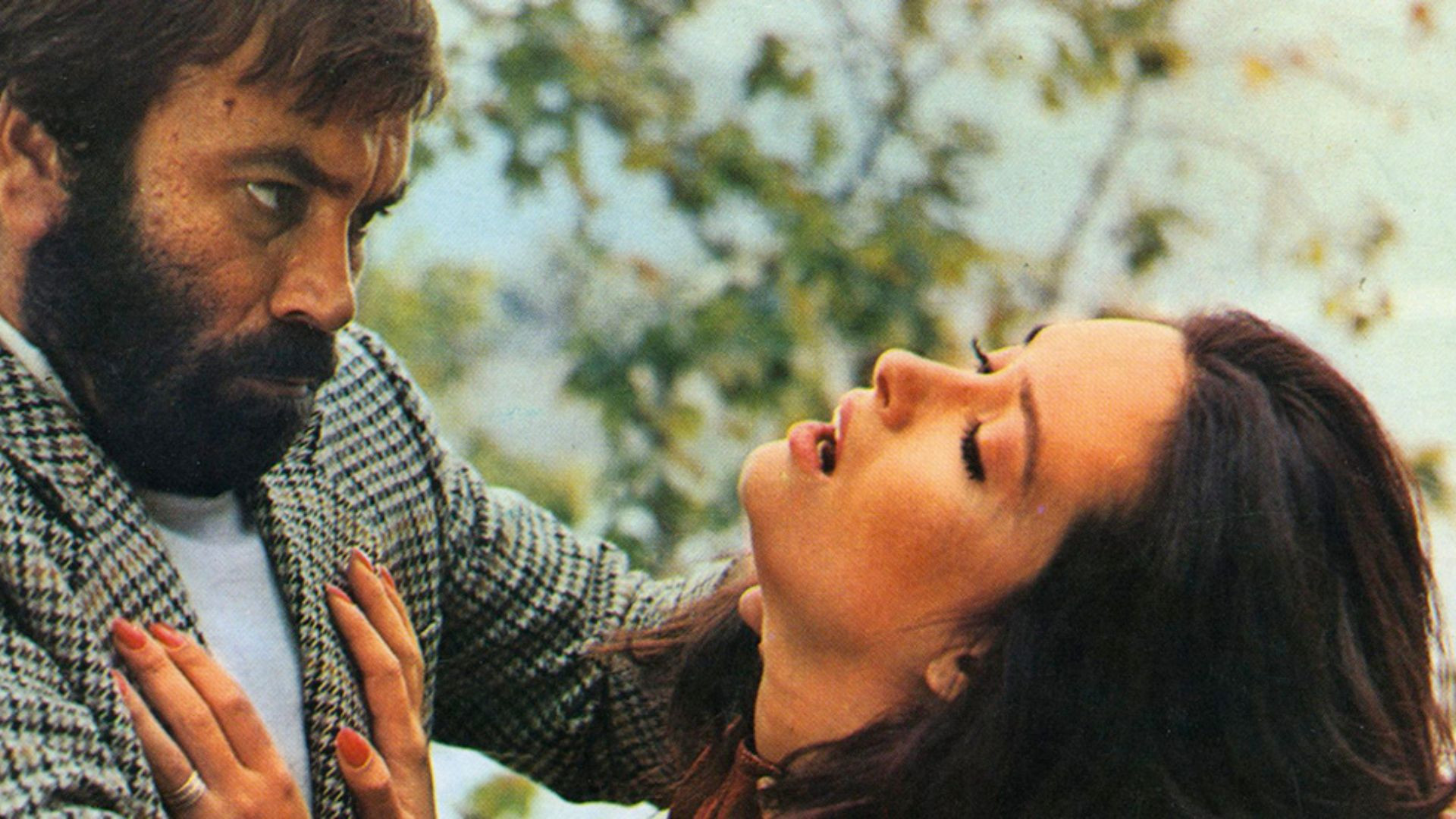 Backdrop for The Lake