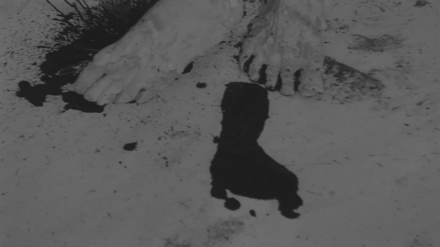 Backdrop for A Portrait of Mr O