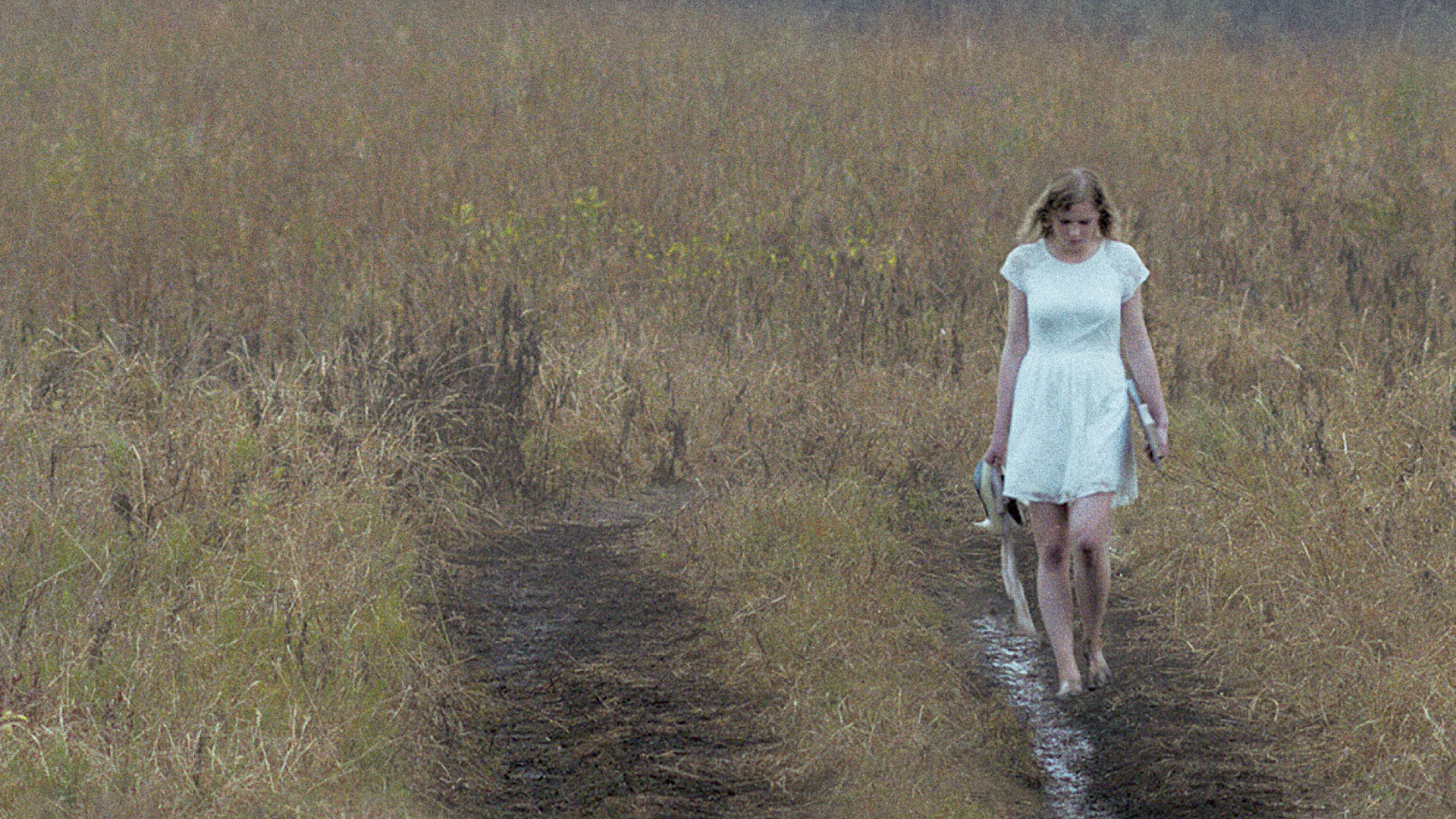 Backdrop for Mellow Mud