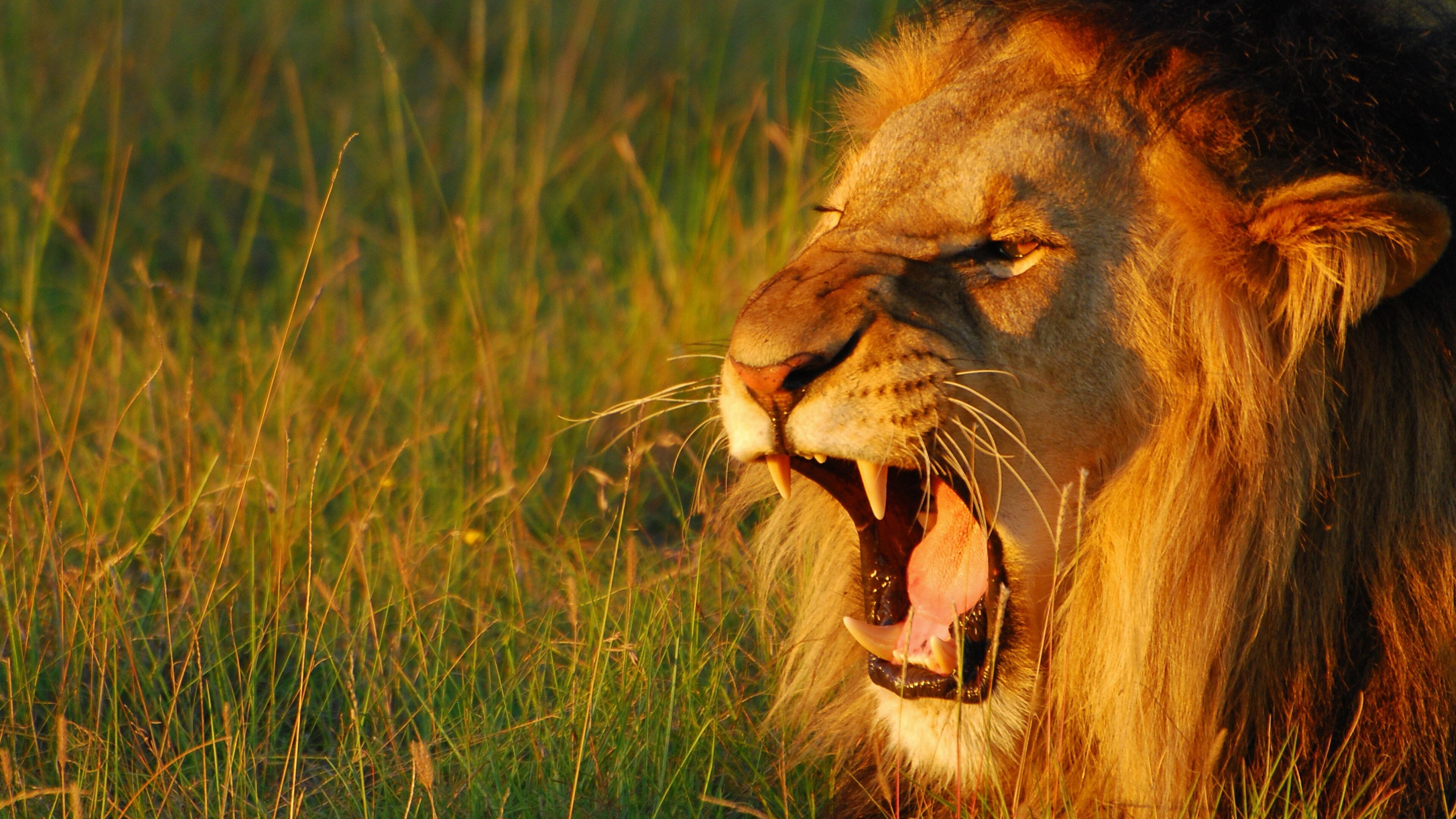 Backdrop for Secret World of Sound