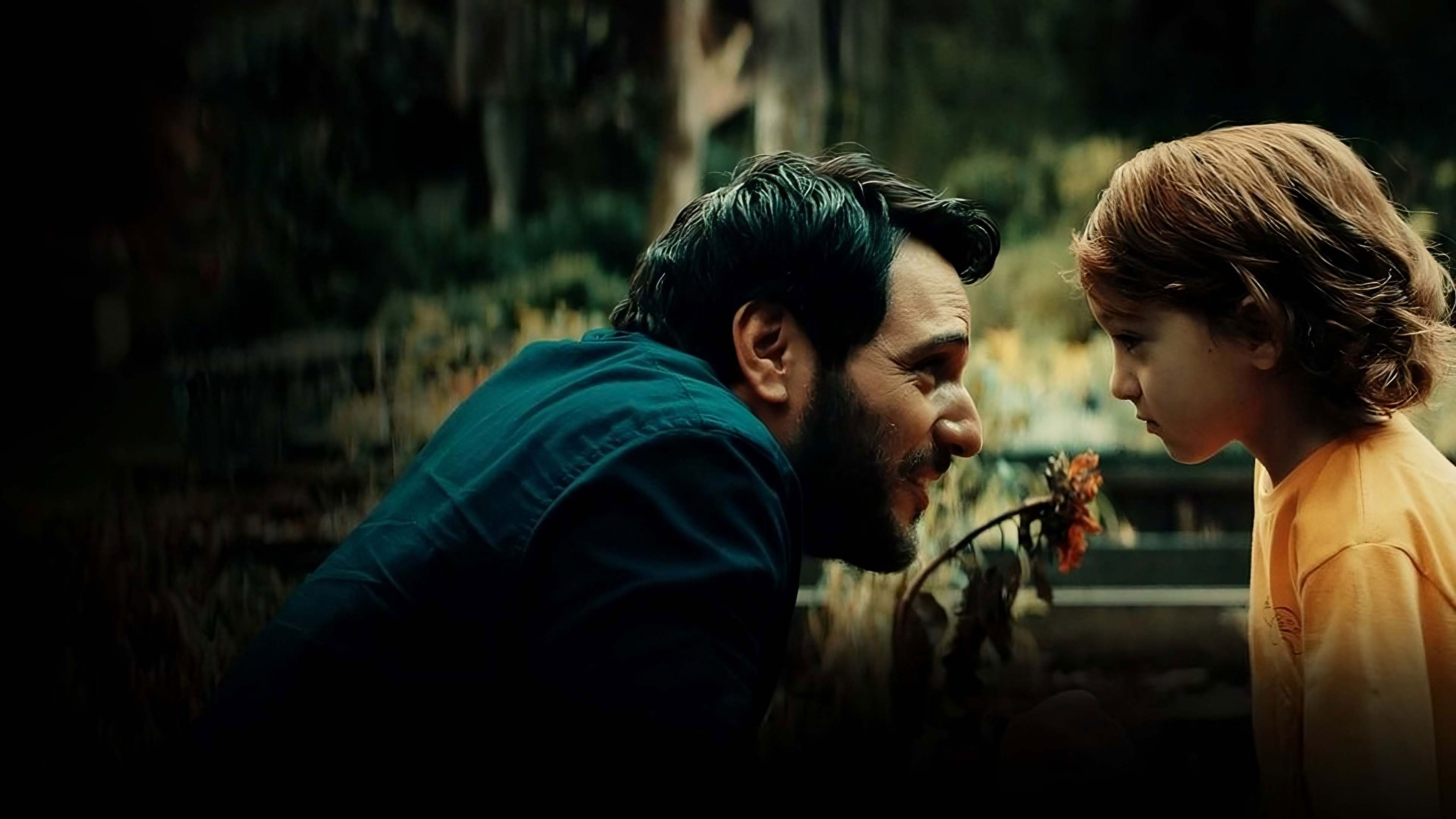 Backdrop for Jardim dos Girassóis