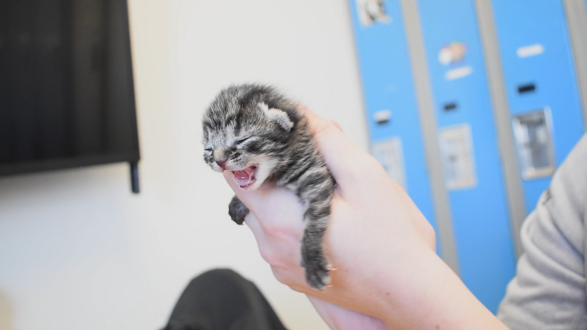 Backdrop for Le Refuge